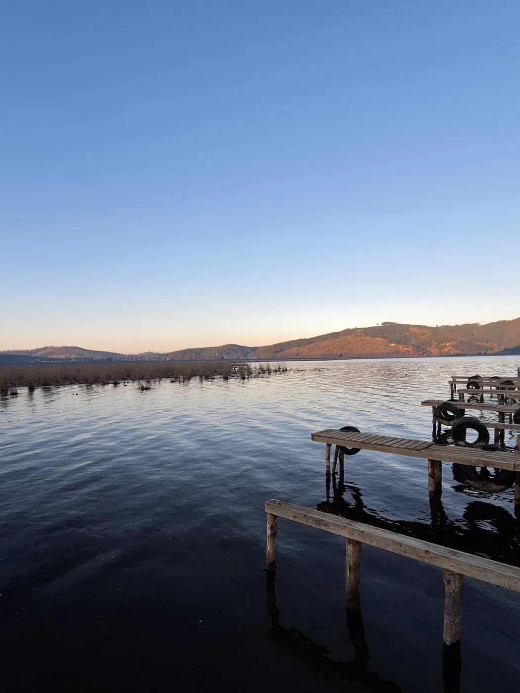 Muelle rústico de madera con pilotes sobre el Lago Vichuquén
